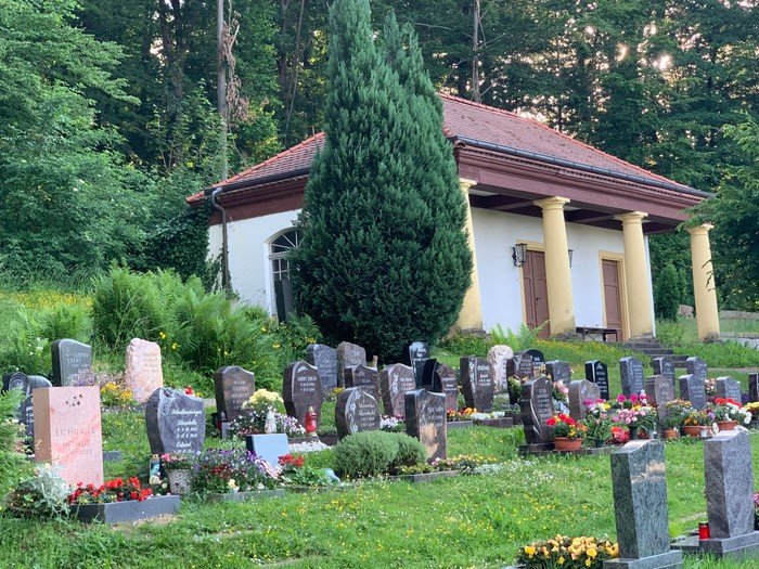 Zahlreiche, kleine Grabsteine und ein Lebensbaum auf einer grünen Wiese vor einer Friedhofskapelle.