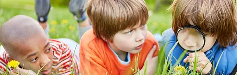 Symbolbild Entdeckerkinder - Kinder betrachten Blume im Gras